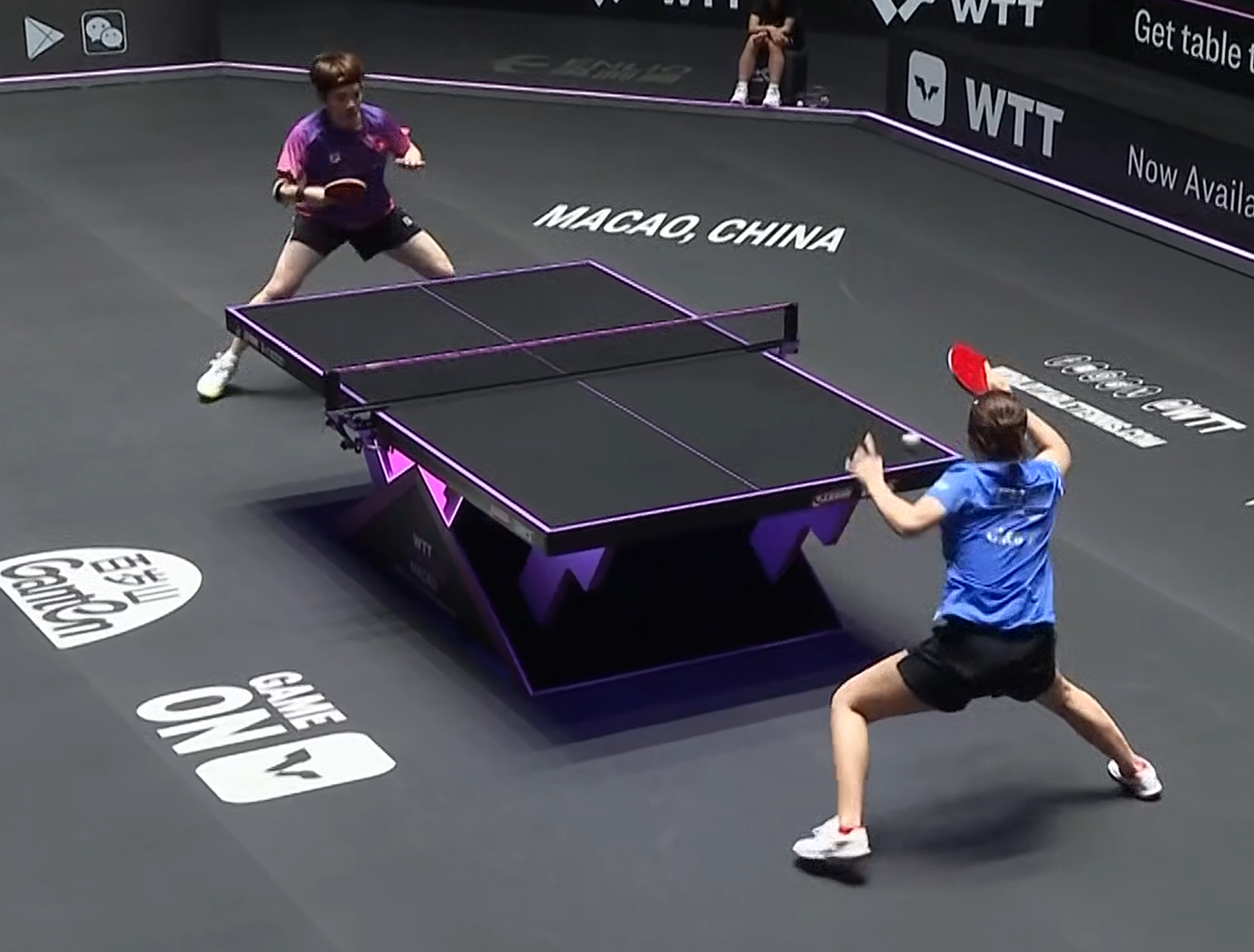 抢了, net 抢了, net